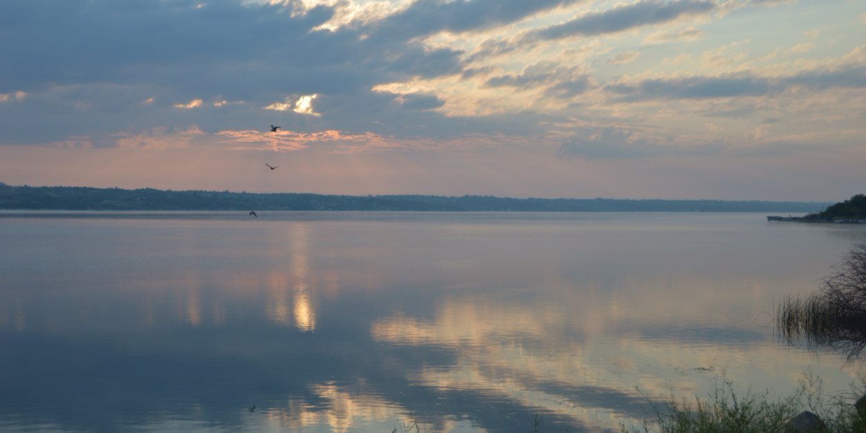 Kathy Lawrence 🌻 banner