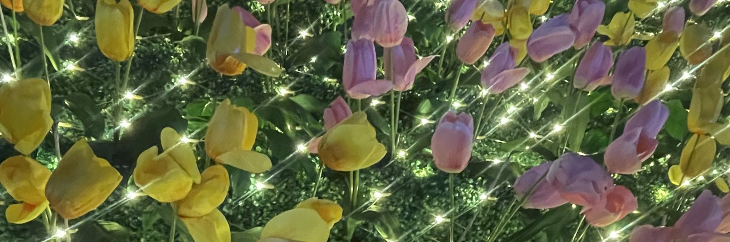 messescakec's profile banner image