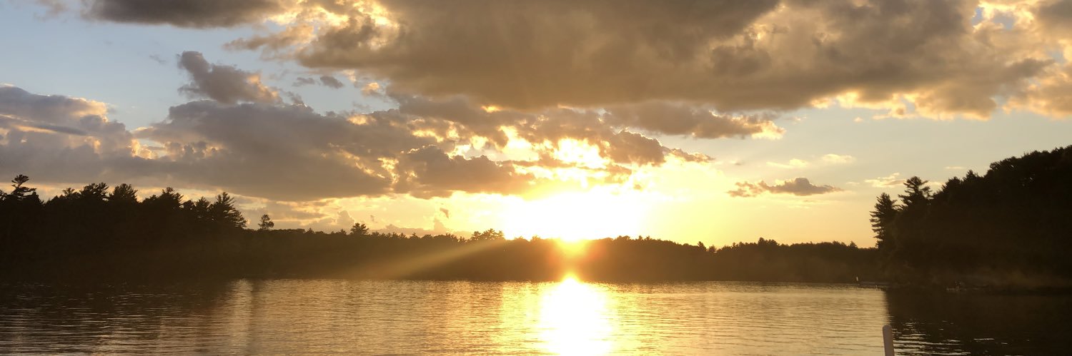 AmyEWitte's profile banner image