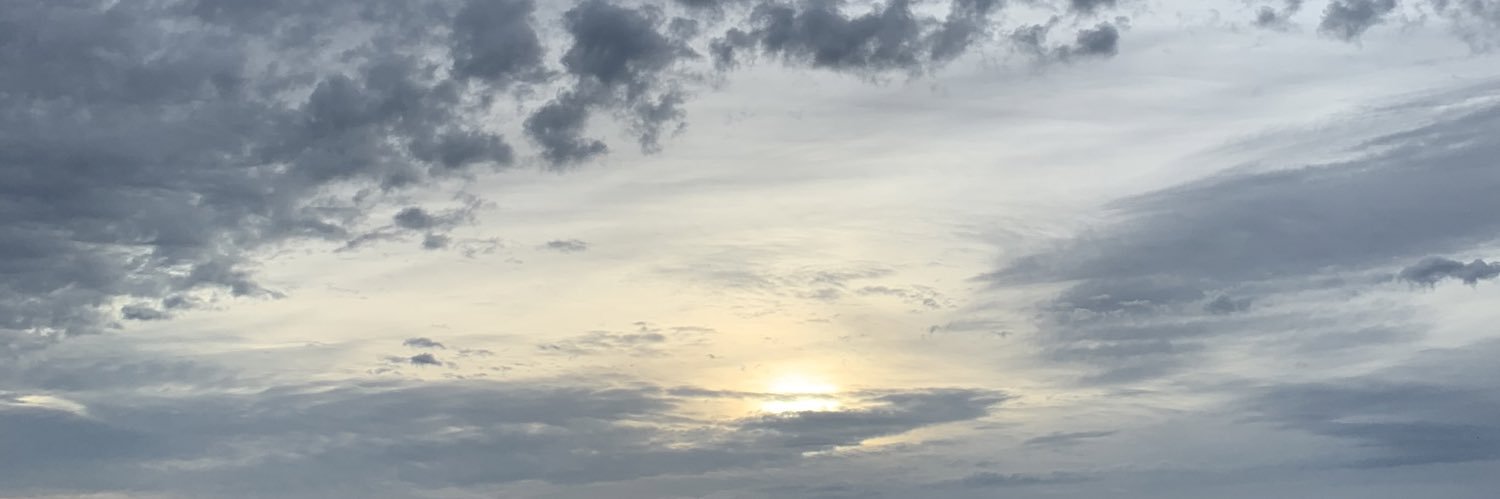 frederique clavel banner