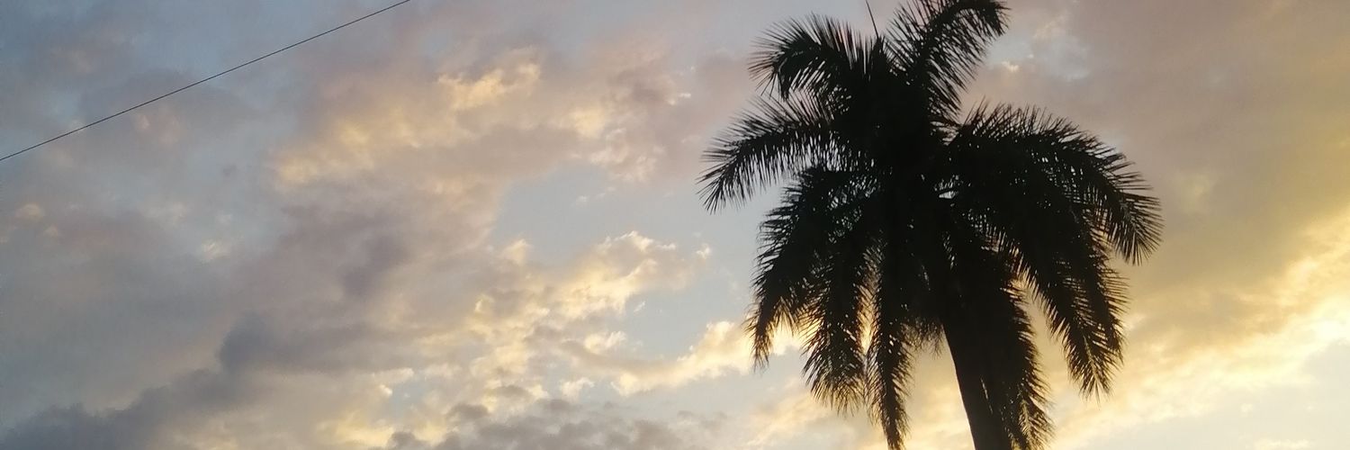 LyzXR's profile banner image
