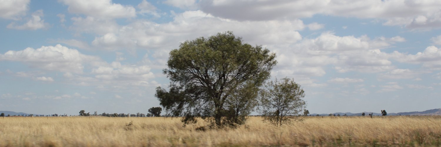 ertis1's profile banner image