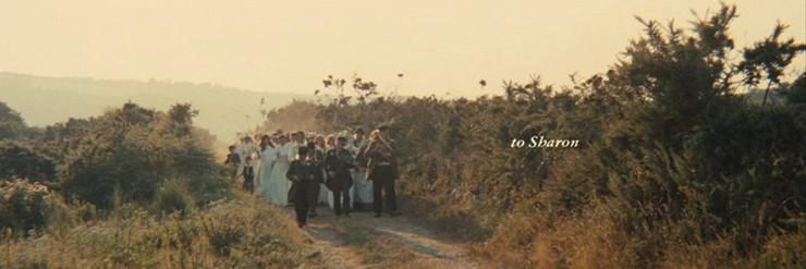 tormenta tropical banner