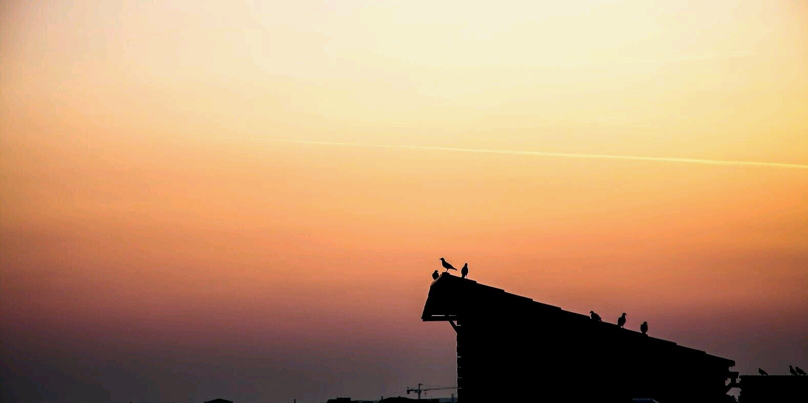 Arca_Web's profile banner image