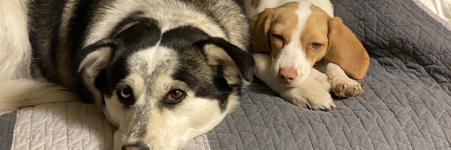 Kevin Westerlaken banner