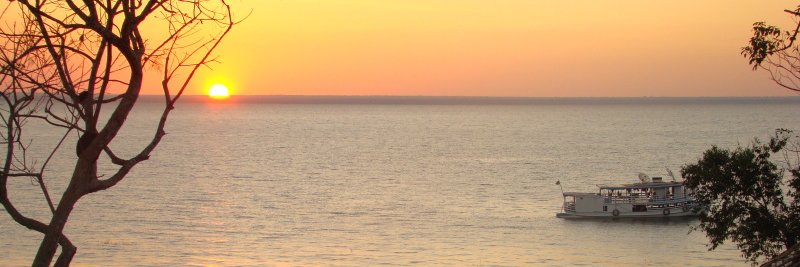 plima's profile banner image