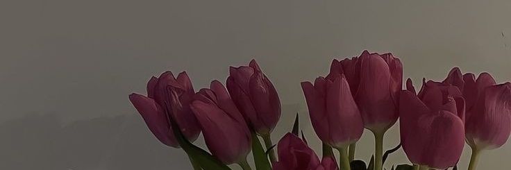 rizkykanur's profile banner image