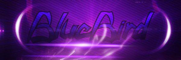 BlueBirdGD's profile banner image