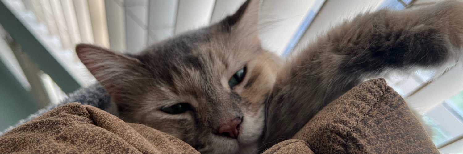 ladellaFL's profile banner image