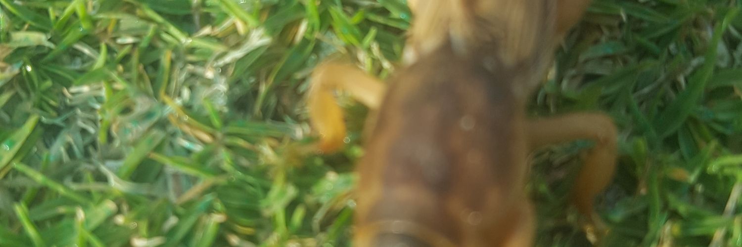 CmGarret's profile banner image