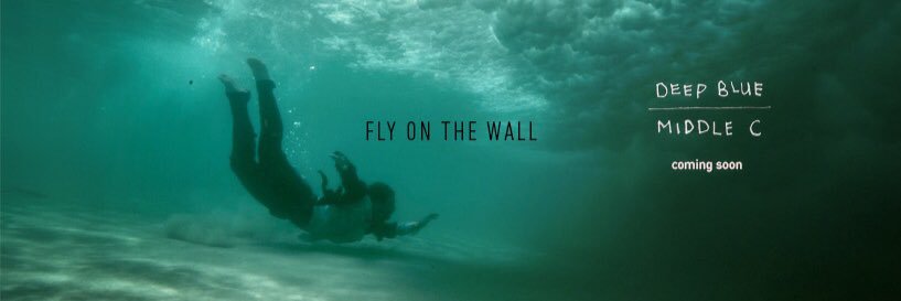 Fly on the Wall banner
