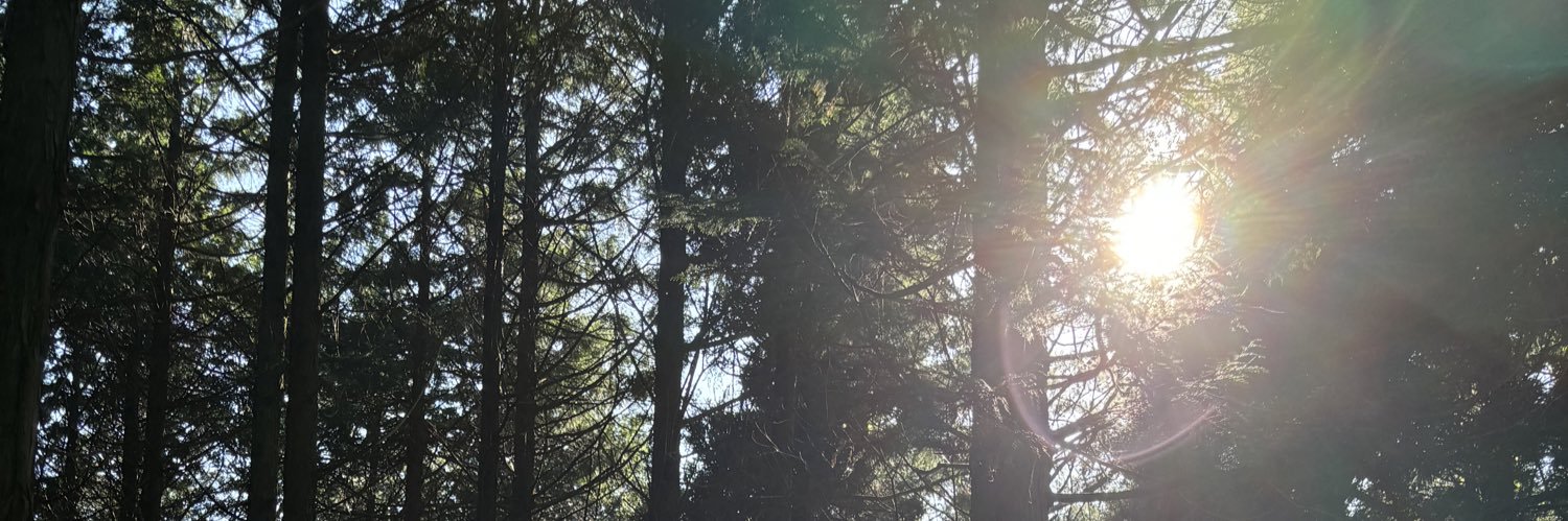 heeeya's profile banner image