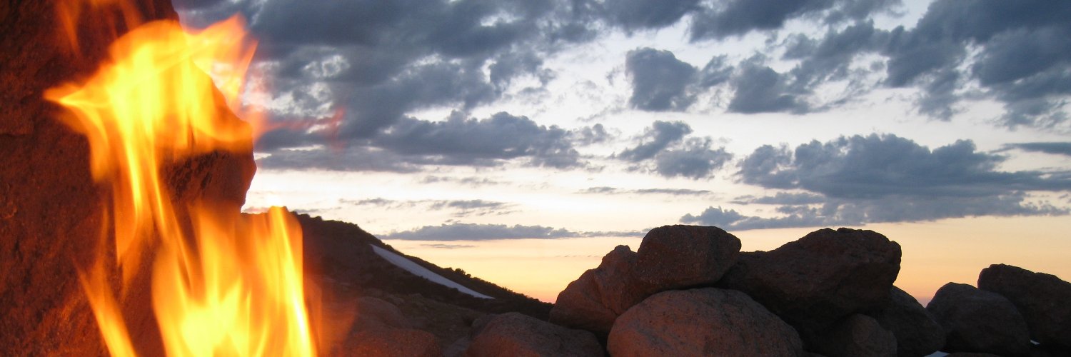 elizabeth marino banner