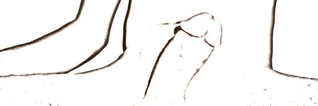 Single_zmGDL's profile banner image