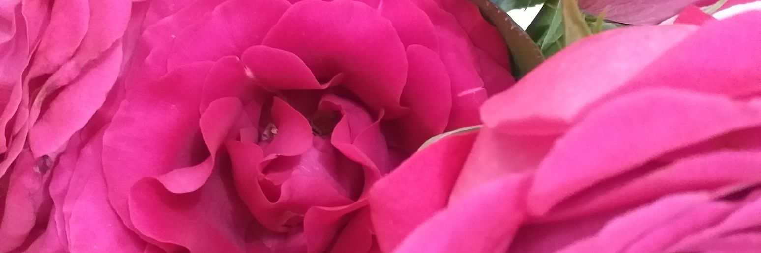 anat_4's profile banner image