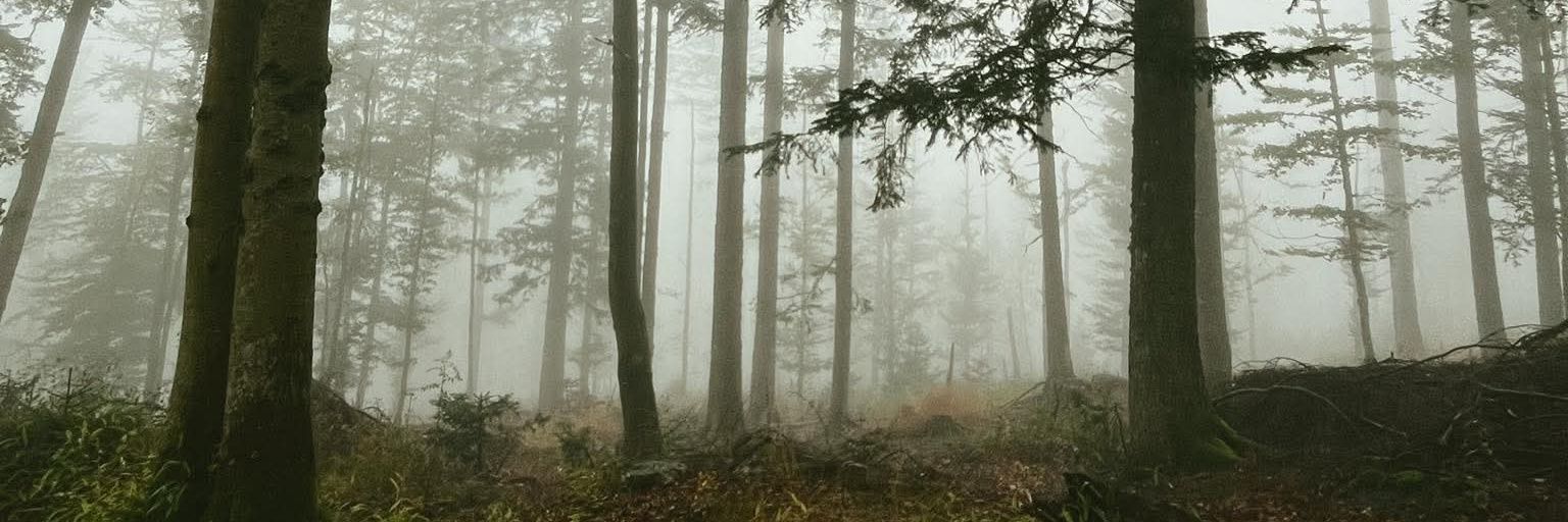HlavacPetr's profile banner image