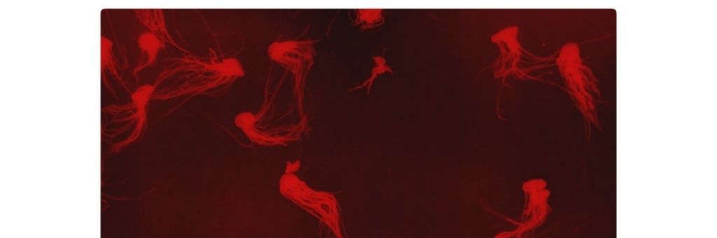 Jeremy_Tibo's profile banner image