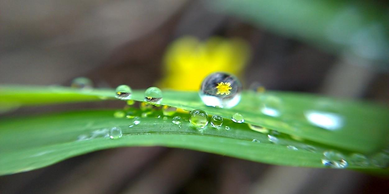 kavin_great's profile banner image