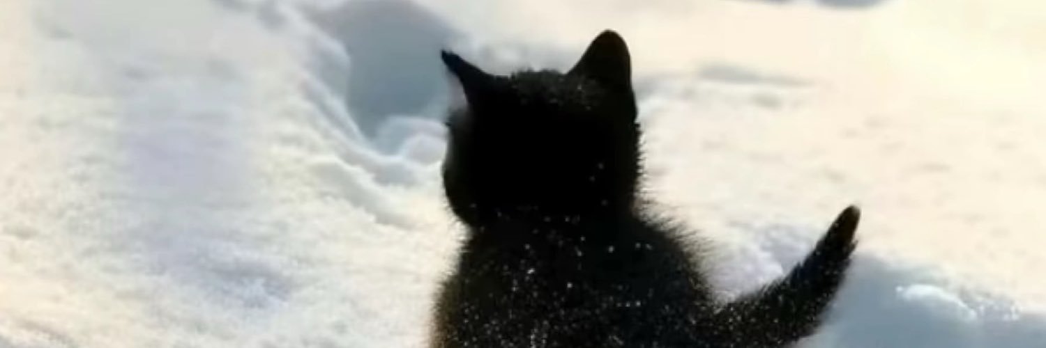 baderhasa's profile banner image