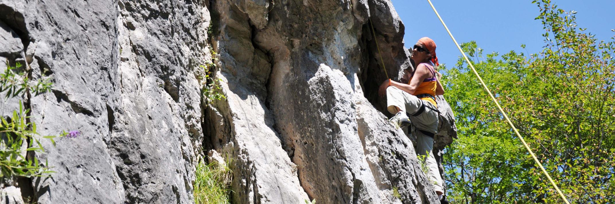adamoznich's profile banner image