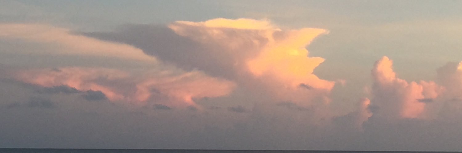 stonehorse1's profile banner image