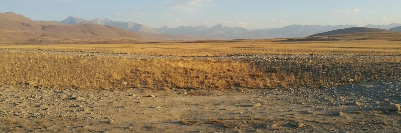 Faizan Sharif banner