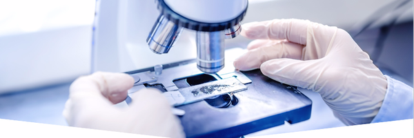 TempleHBD Profile Banner