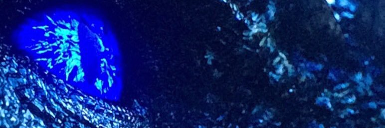 Ish683's profile banner image