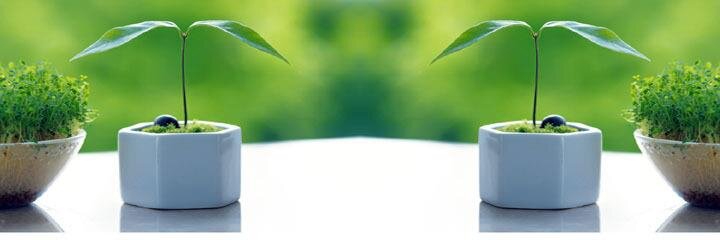 love4765's profile banner image