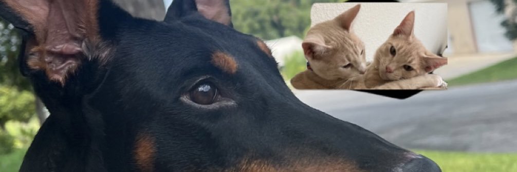 therealnate442's profile banner image