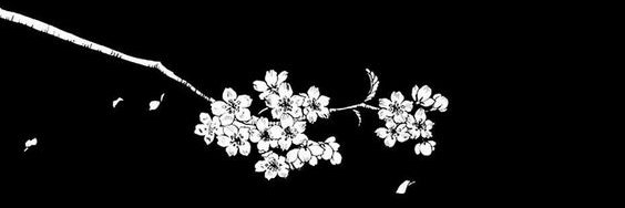 DOMENICO TEMPESTA banner