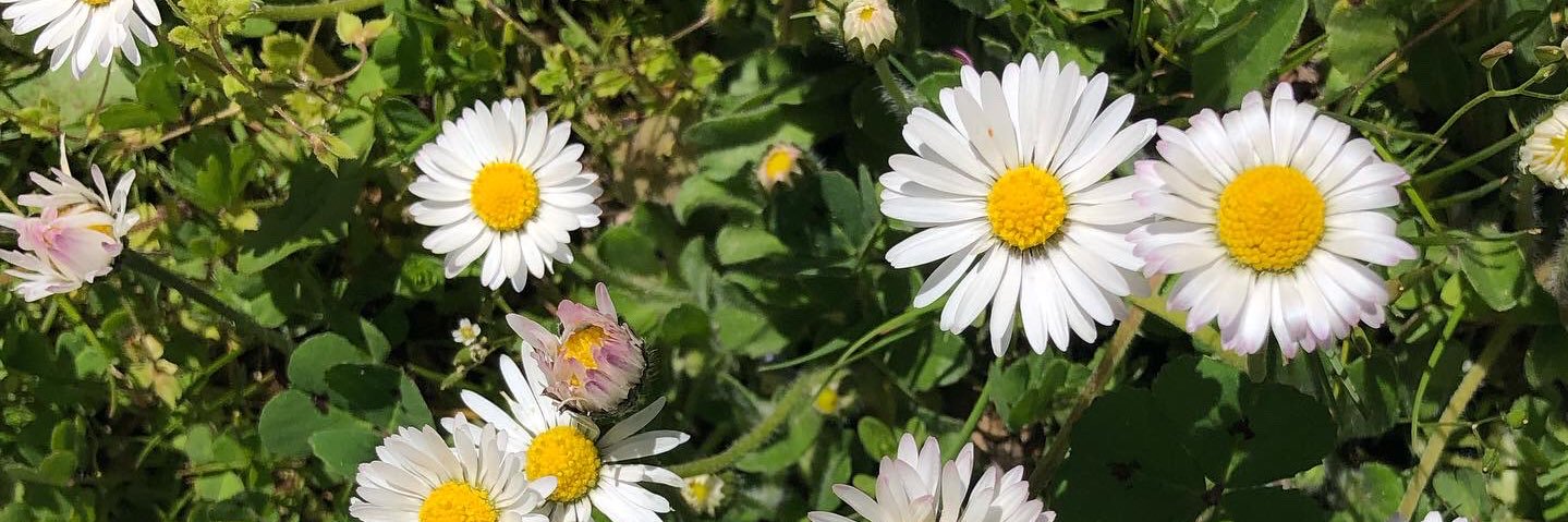 laraponce3's profile banner image