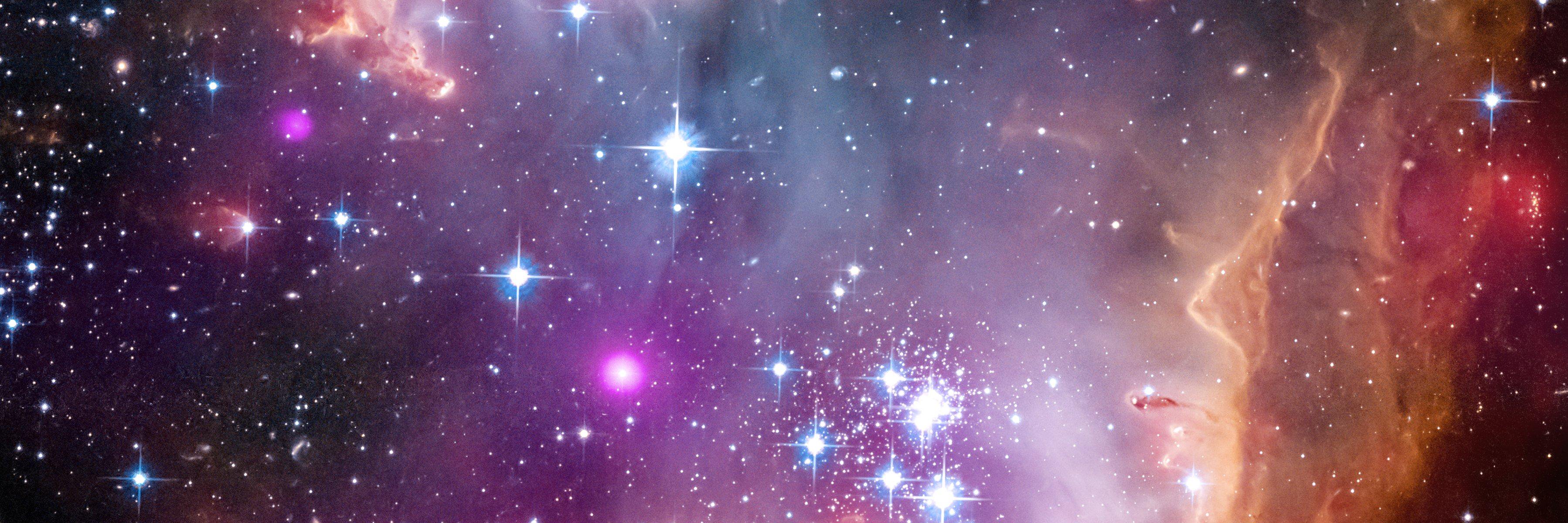 Alexandra Landa banner