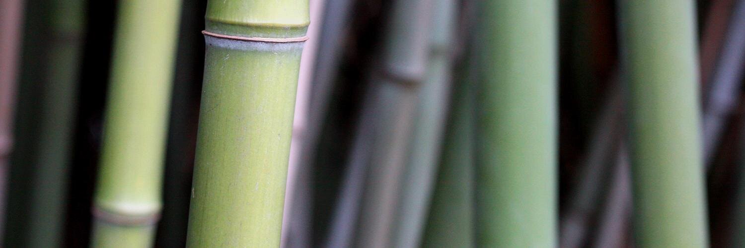 Zack Zen banner