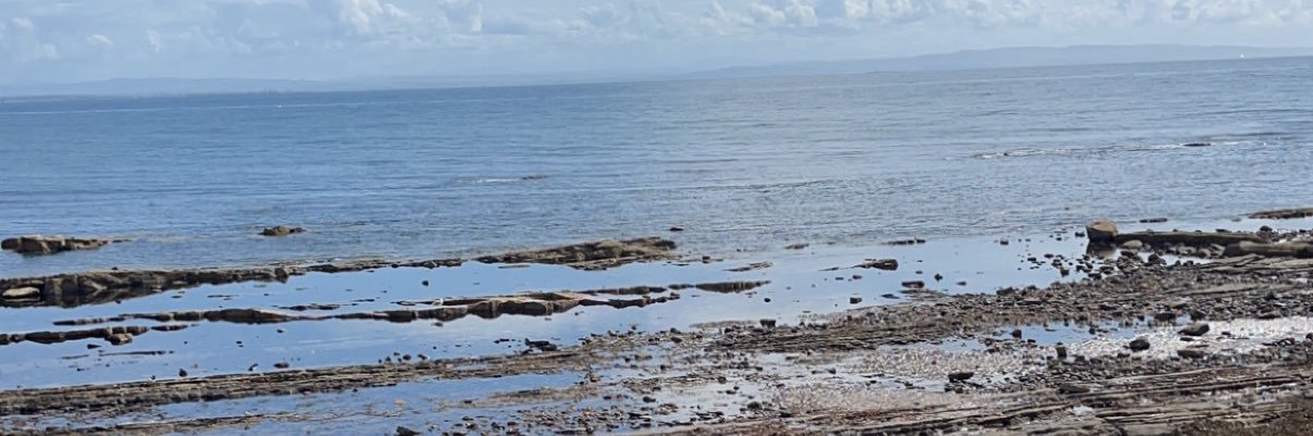 caseyrobertsonn's profile banner image