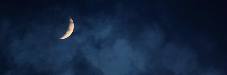 juliaaubertin's profile banner image