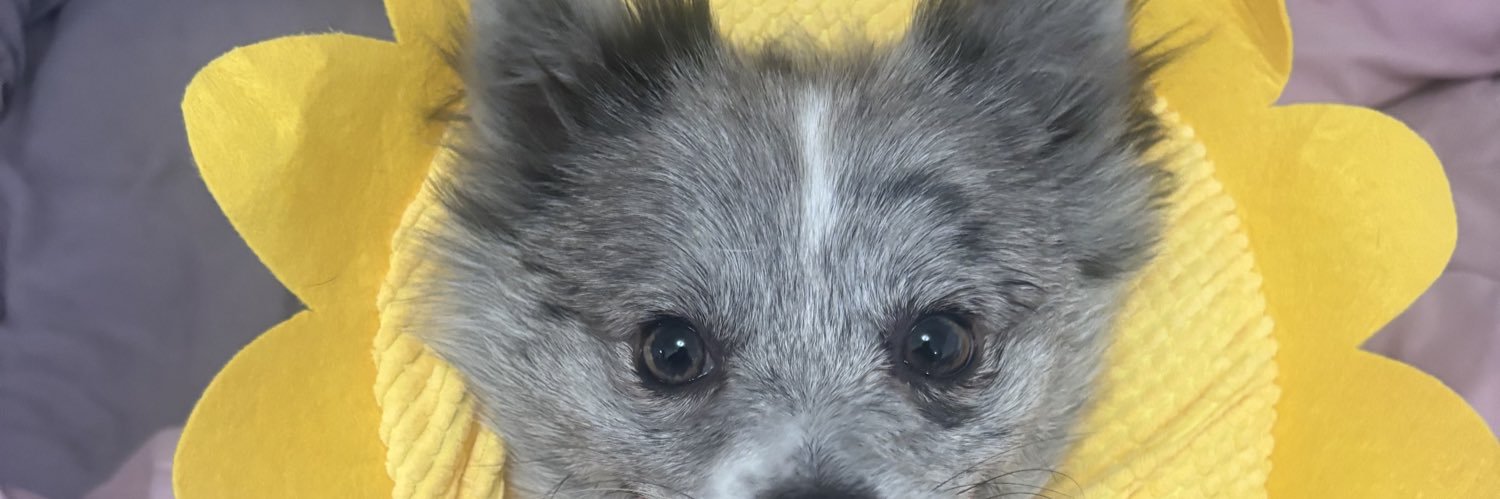 chiefgodmiri's profile banner image