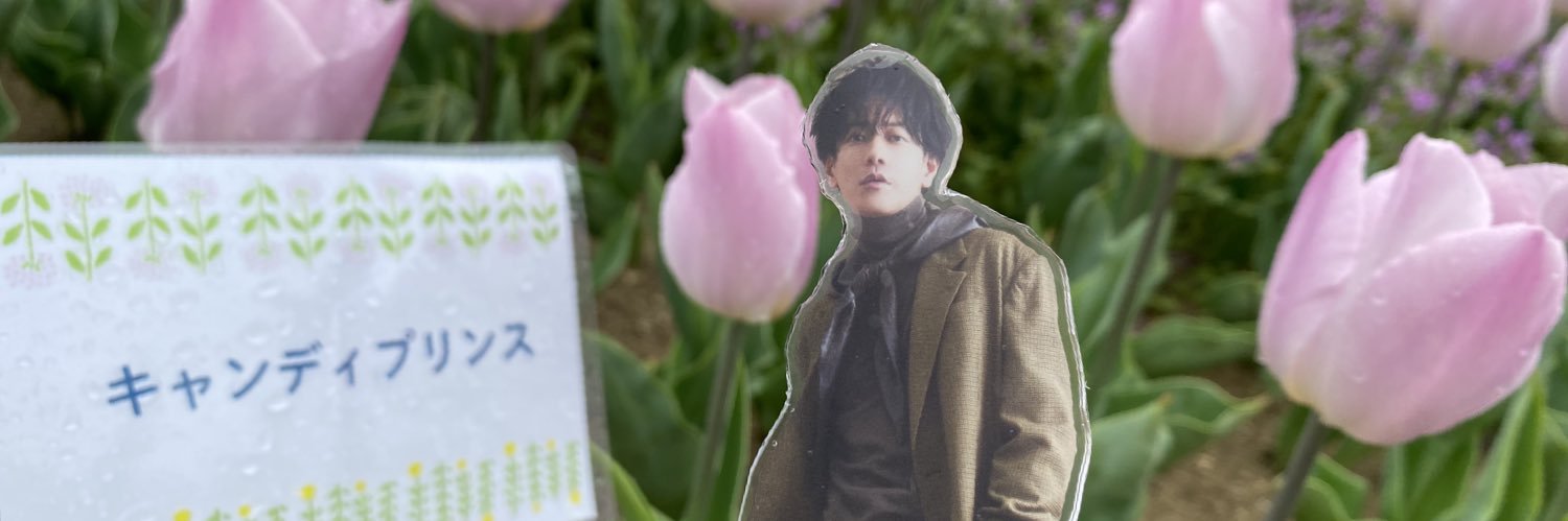 marumaruryu's profile banner image
