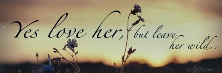 bayyyrae's profile banner image