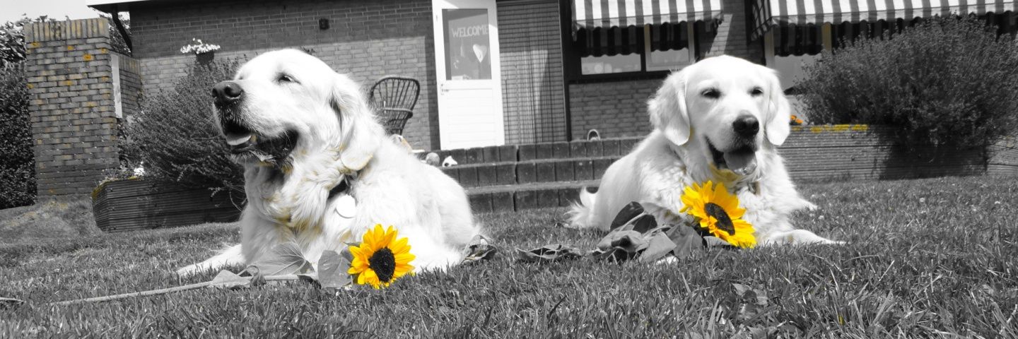 ellen3004's profile banner image