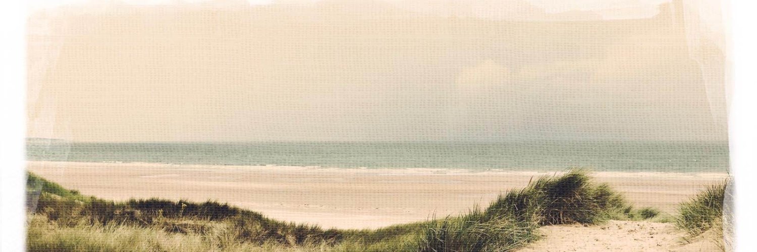 Dr Bethan Michael-Fox banner