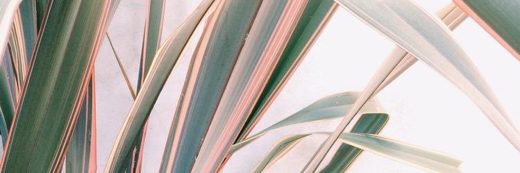 jumpsuitparty's profile banner image