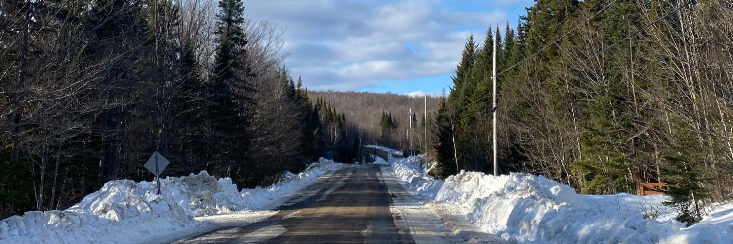 GigiBissonnette's profile banner image