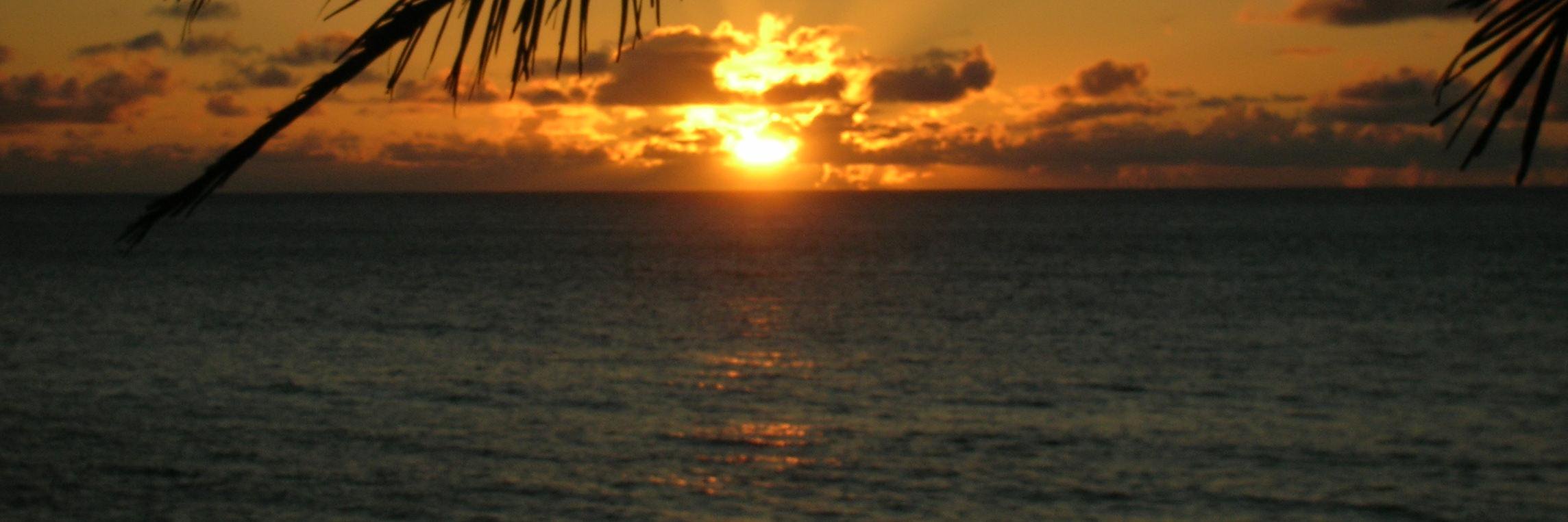 ManateeSightsee's profile banner image