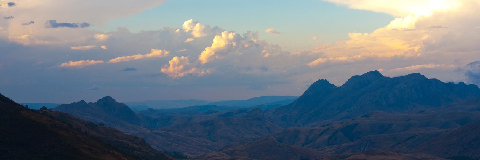 Kisbjørn Threepschou 🐟 banner