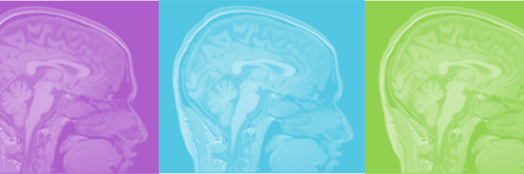 PsychSaxena's profile banner image