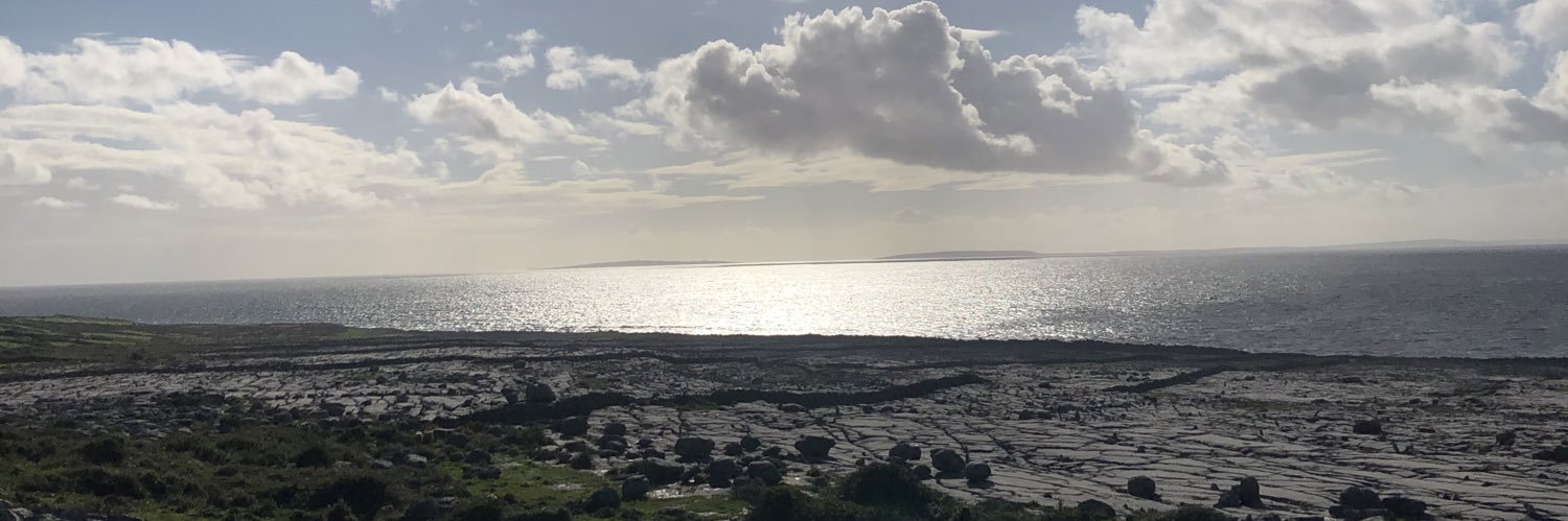 mcgils2018's profile banner image