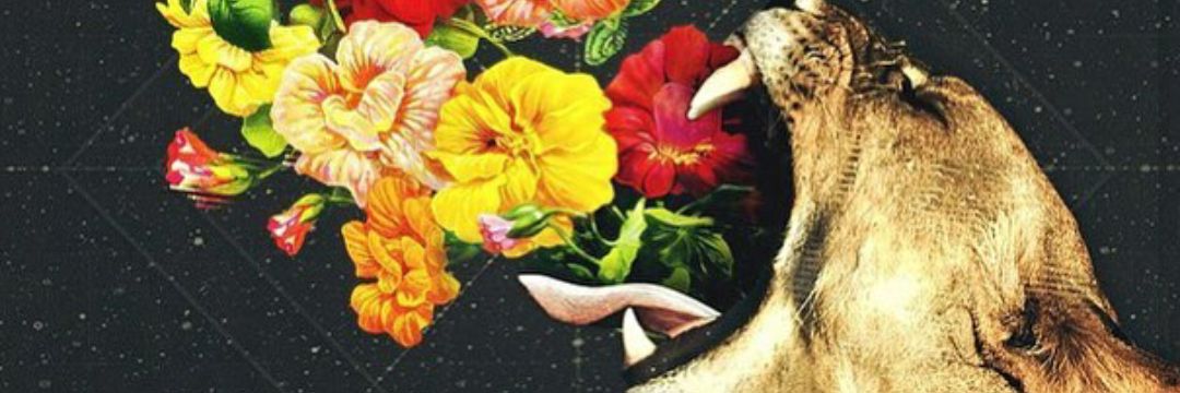 ValenDominguez_'s profile banner image