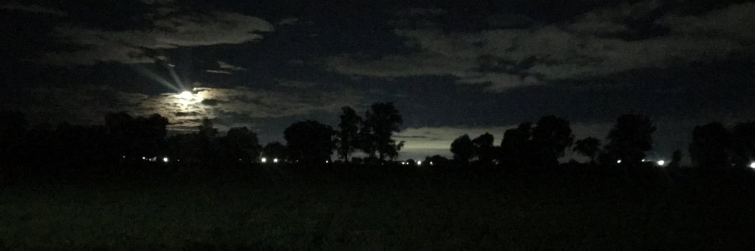 tennessecitoo's profile banner image