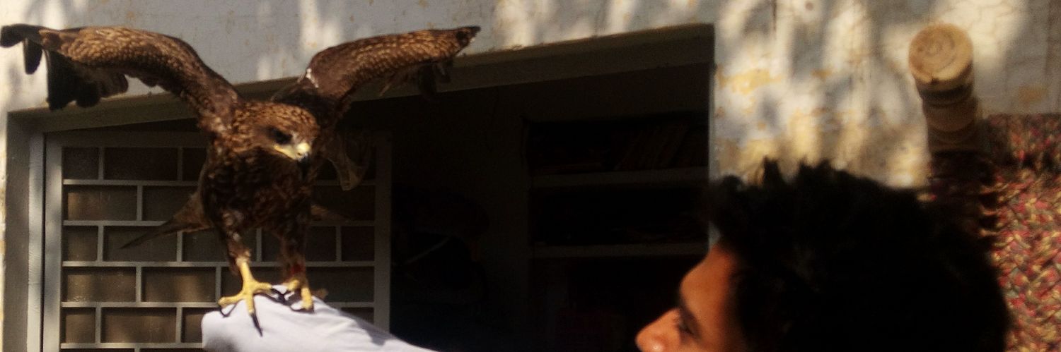 ranahmu's profile banner image